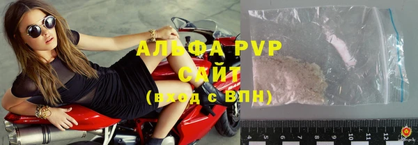 индика Арсеньев