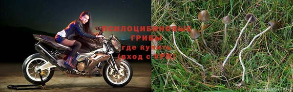 синтетический гашиш Аркадак
