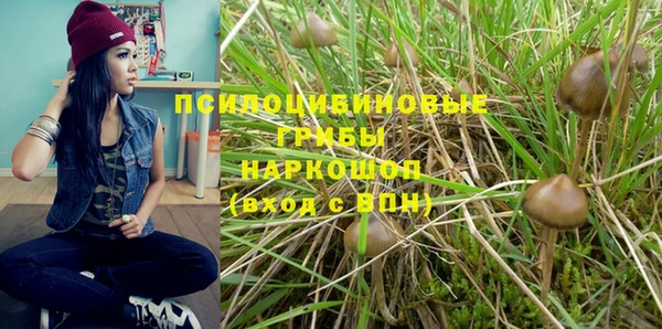 индика Арсеньев