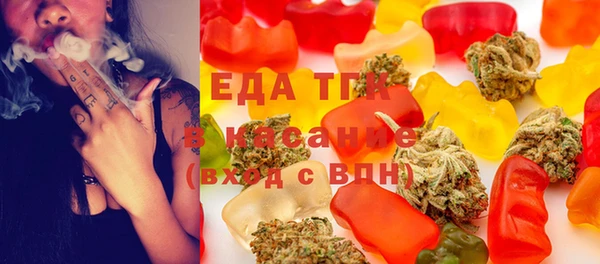 индика Арсеньев