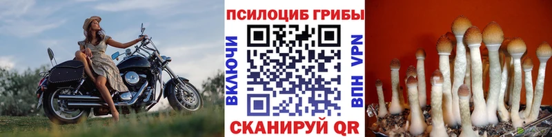 цены наркотик  ссылка на мегу рабочий сайт  Псилоцибиновые грибы мухоморы  Белорецк 